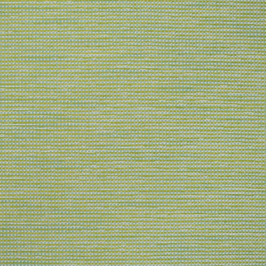 View S4546 Capri Solid Green Greenhouse Fabric