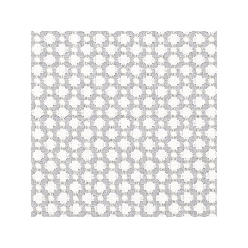 Purchase sample of 65684 Betwixt, Zinc/Blanc by Schumacher Fabric