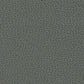 Purchase sample of 363-5817 Promessa, Shale by Schumacher Fabric