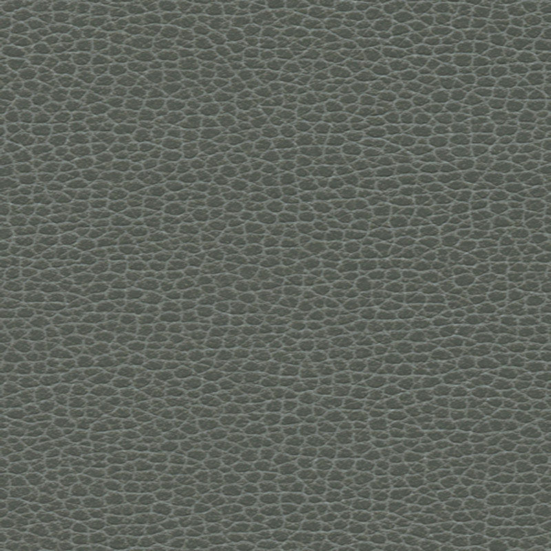 Purchase sample of 363-5817 Promessa, Shale by Schumacher Fabric