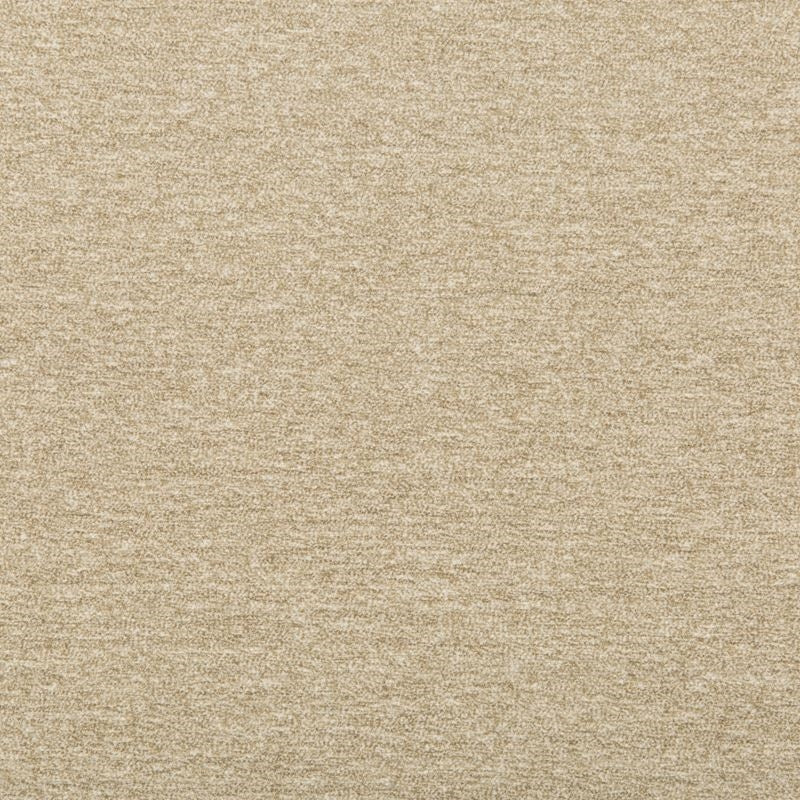 Shop 35596.16.0  Solids/Plain Cloth Beige by Kravet Design Fabric