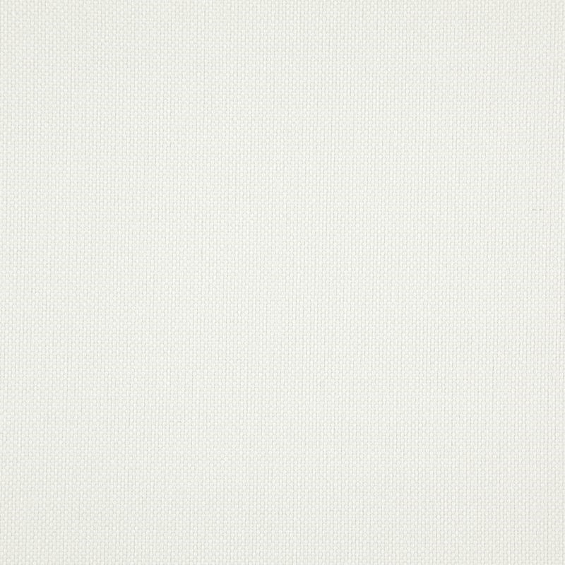 LO8216 | Light Year Swan by Maxwell Fabric