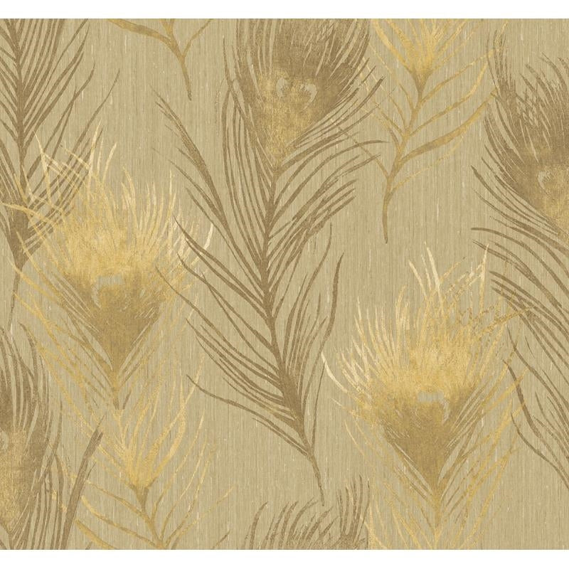 Acquire CB10103 Arnott Brown Feathers by Carl Robinson Wallpaper