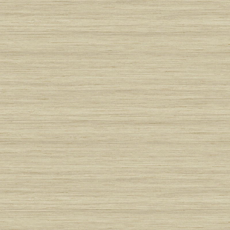 Acquire TC70313 More Textures Shantung Silk Rye by Seabrook Wallpaper