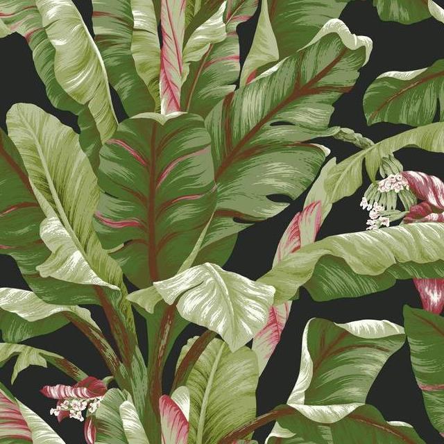 Purchase AT7071 Ashford Tropics Banana Leaf  color black leaf Ashford House Wallpaper