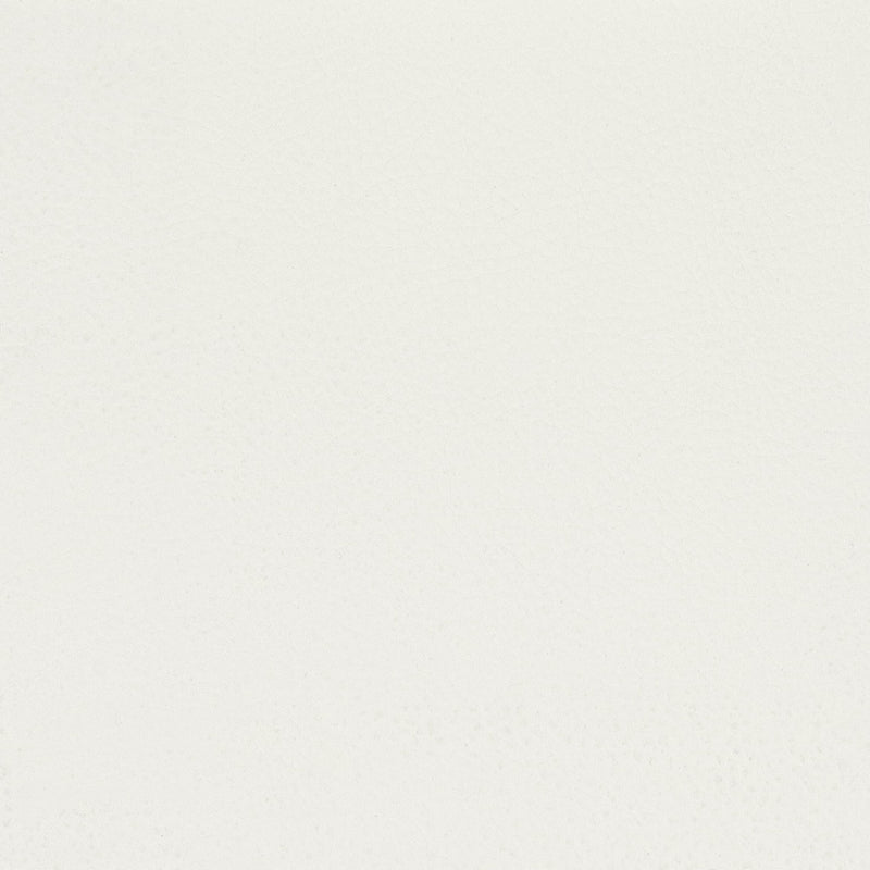 Sample Clas-3 Classic 3 Natural By Stout Fabric