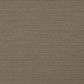 Sample DI5738 Darwin Cocoa by Maxwell