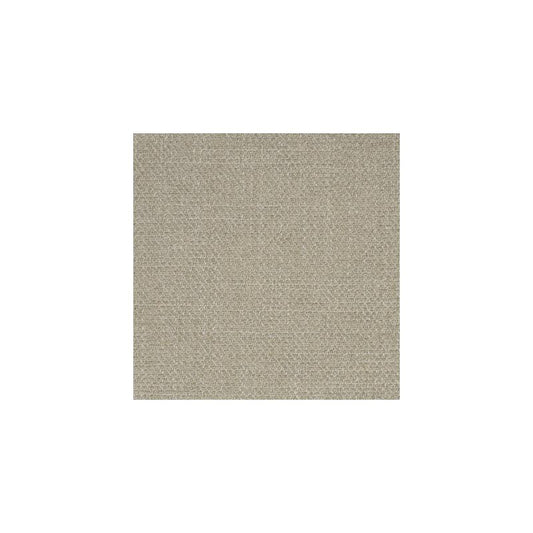 Looking S3252 Cloud Gray Solid/Plain Greenhouse Fabric