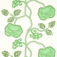 Select 179540 Queen Fruit Chintz Jade By Schumacher Fabric