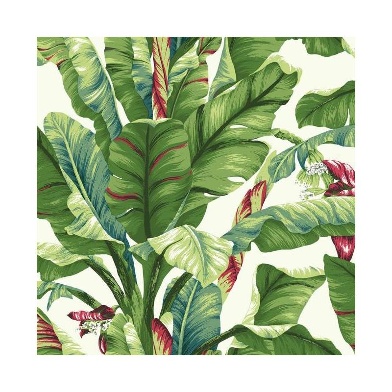 Sample AT7068 Ashford Tropics, Banana Leaf  color white leaf by Ashford House Wallpaper