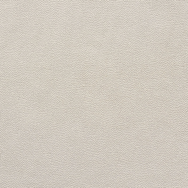 Purchase sample of 75201 Stingray, Pewter by Schumacher Fabric