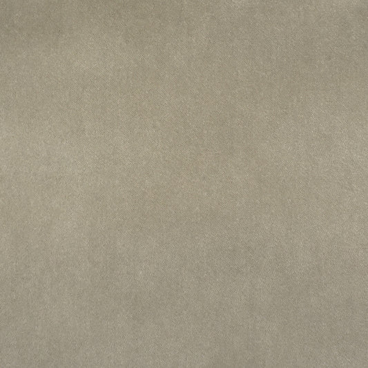 Buy S2297 Stone Gray Texture Greenhouse Fabric