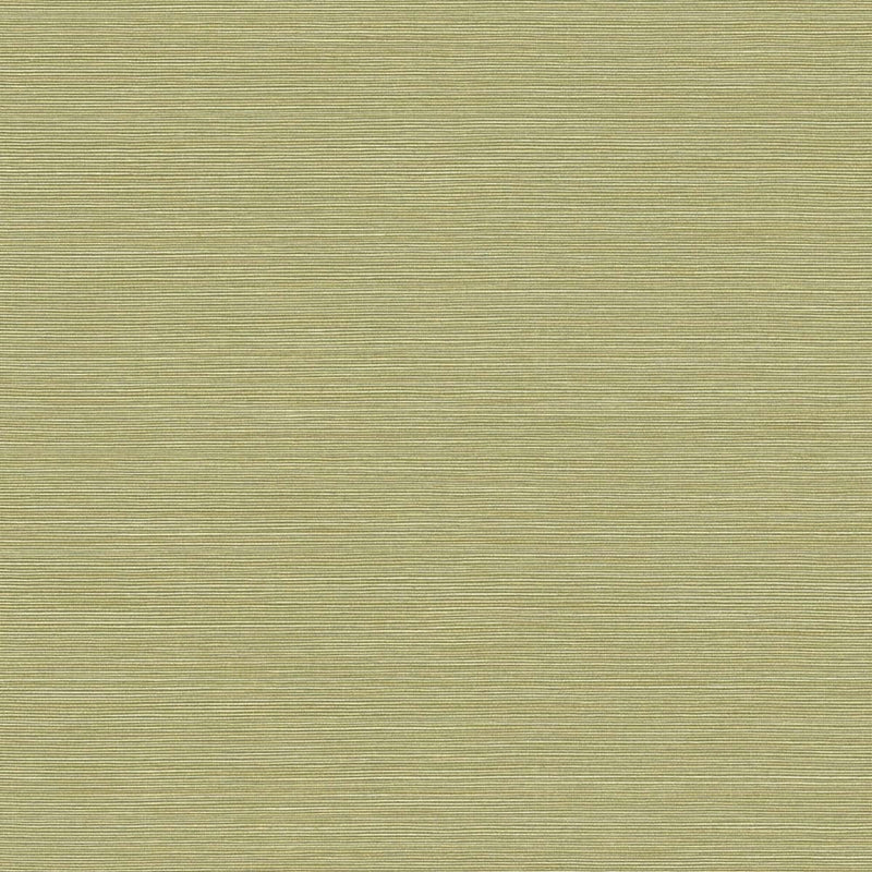 Shop BV30424 Texture Gallery Coastal Hemp Lime Moss  by Seabrook Wallpaper