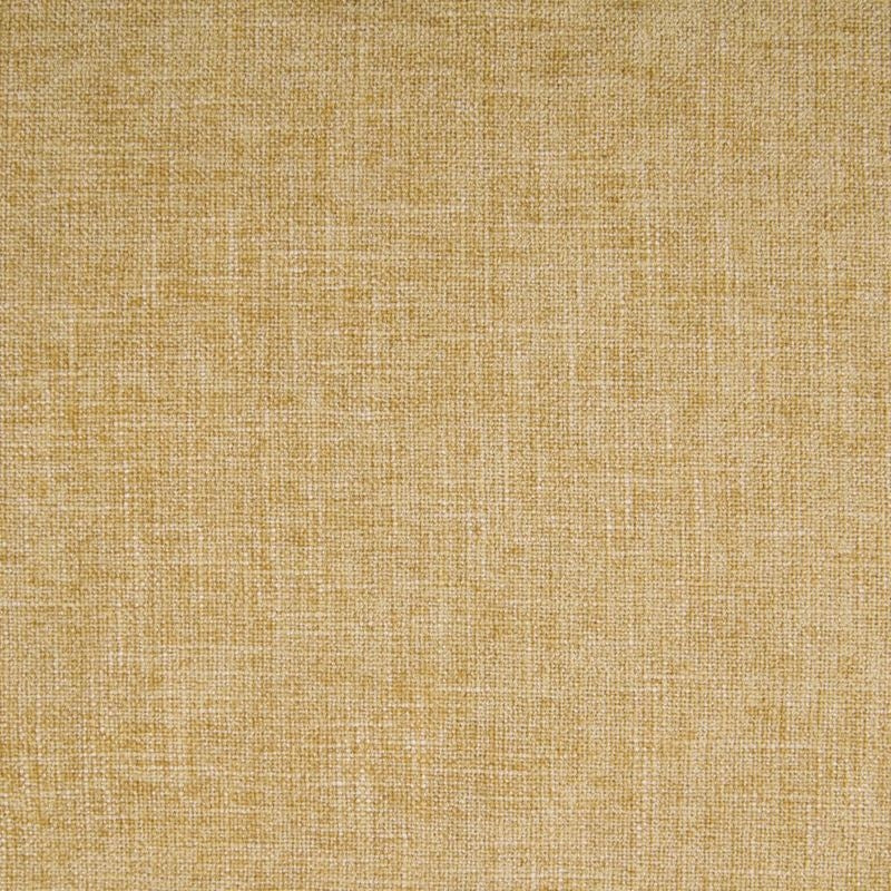 B3818 Maize | Contemporary, Chenille - Greenhouse Fabric