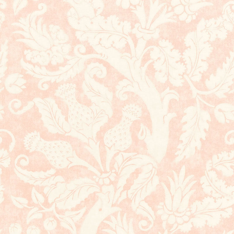 Purchase sample of 175071 Villa De Medici, Blush Conch by Schumacher Fabric