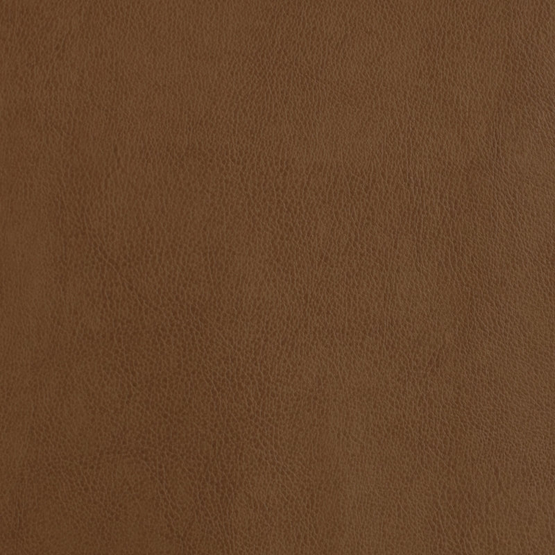 Find F2873 Amber  Upholstery Greenhouse Fabric