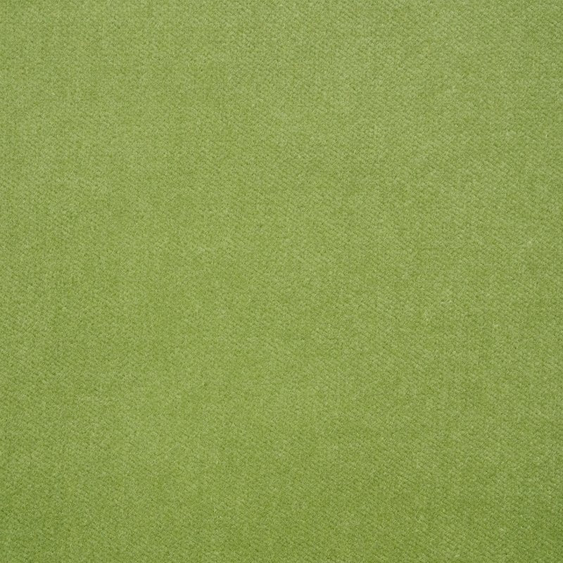 Purchase sample of 70575 Rocky Performance Velvet, Aloe by Schumacher Fabric