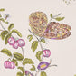Acquire 5010692 Baudin Butterfly Purple Schumacher Wallcovering Wallpaper