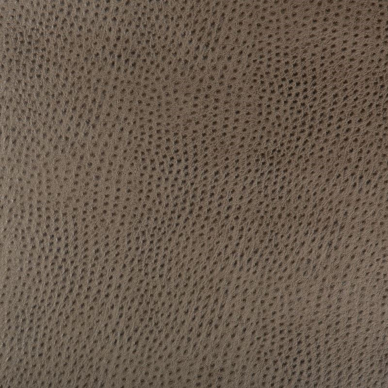 Find HUBBLE.106.0  Solids/Plain Cloth Bronze by Kravet Design Fabric