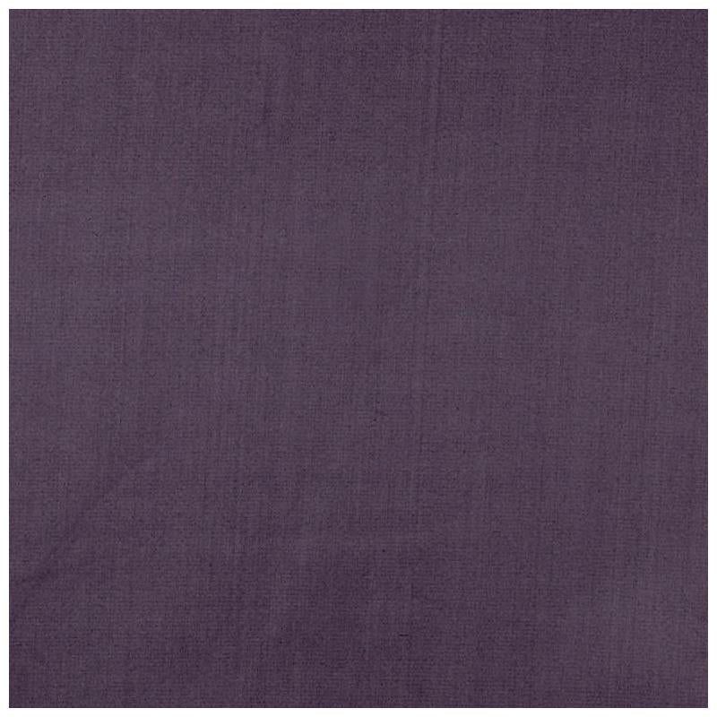 Sample SIM019 Silky Smooth Eggplant by Maxwell