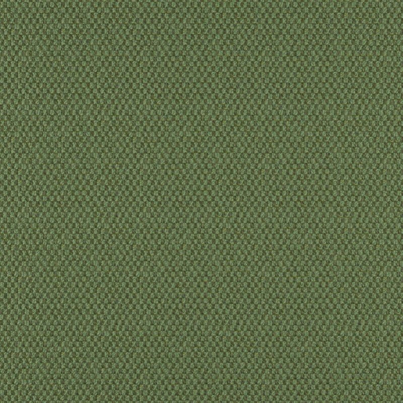 TQ9614 | Take Off Forest by Maxwell Fabric