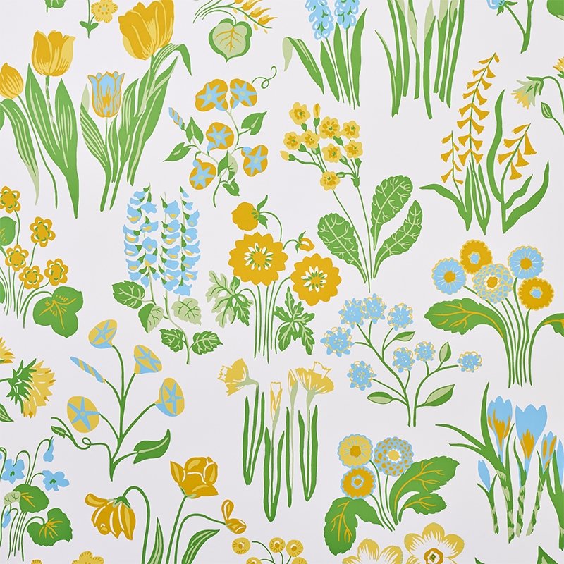 Looking for 5010771 Carly Sky Schumacher Wallpaper