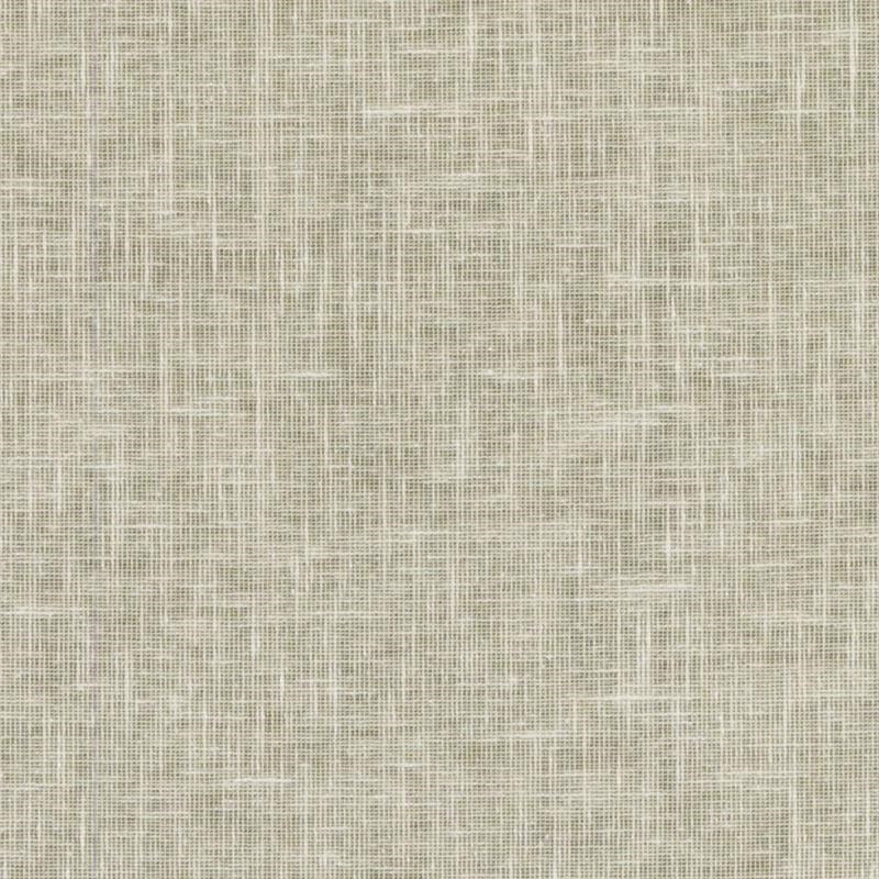 Dd61467-564 | Bamboo - Duralee Fabric