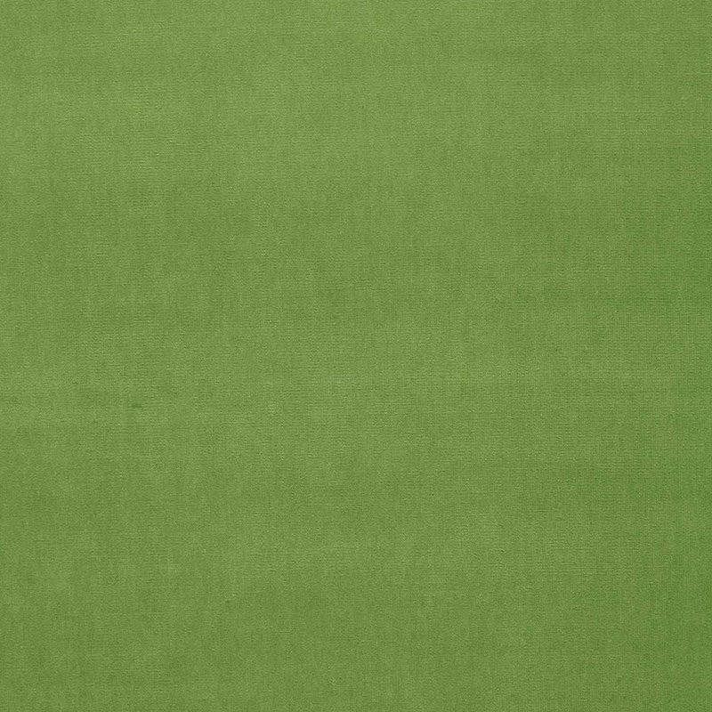 Purchase 64576 Gainsborough Velvet Grass by Schumacher Fabric