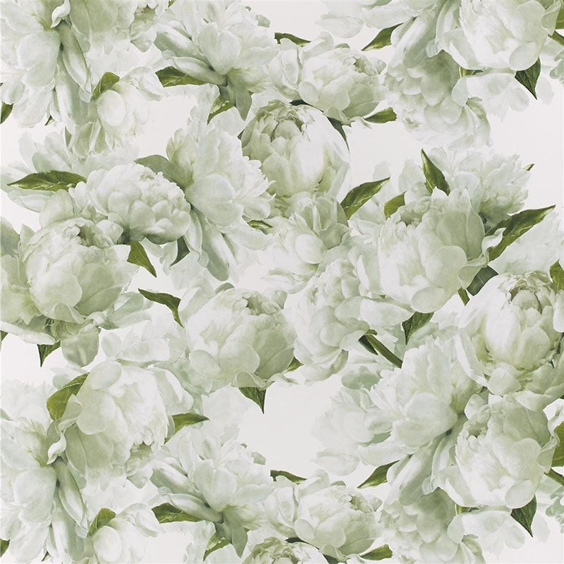 View PDG1094/03 Peonia Chartreuse by Designer Guild Wallpaper