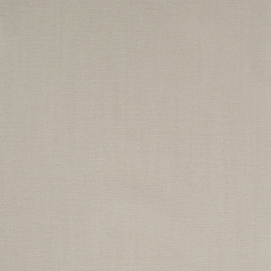 Find S4961 Winter White Neutral Greenhouse Fabric