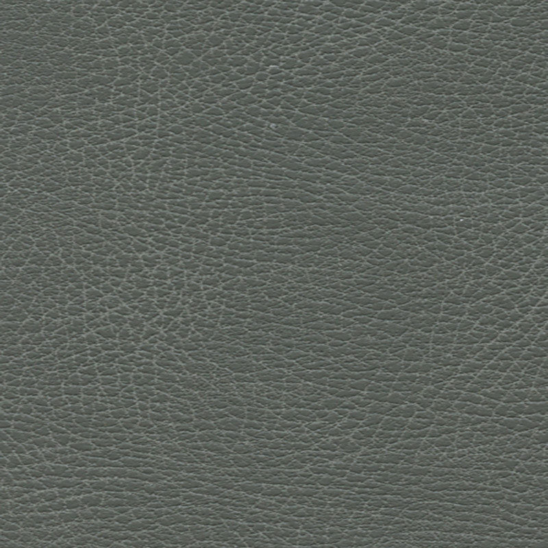Purchase sample of 335-5679 Brisa Distressed, Iron by Schumacher Fabric