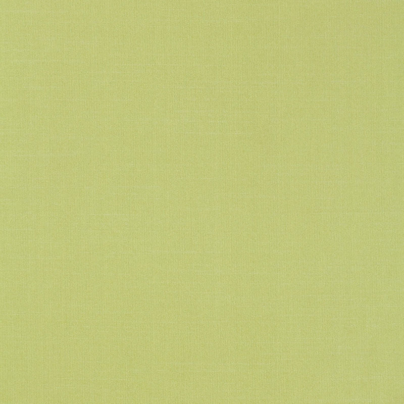 Purchase sample of 63866 Tiepolo Shantung Weave, Limeade by Schumacher Fabric