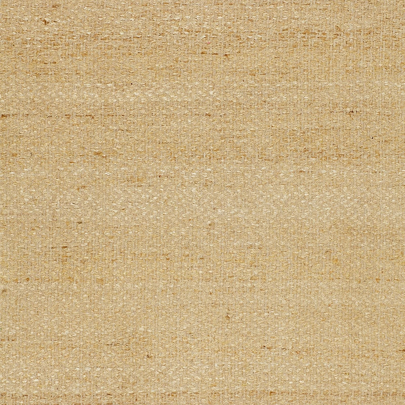 Purchase sample of 51791 Vasur Silk Matka, Ivory by Schumacher Fabric