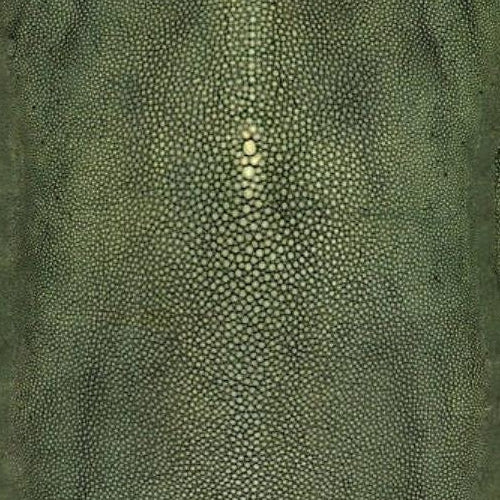 View WH000043326 Precieux Vert by Jean Paul Gaultier Wallpaper