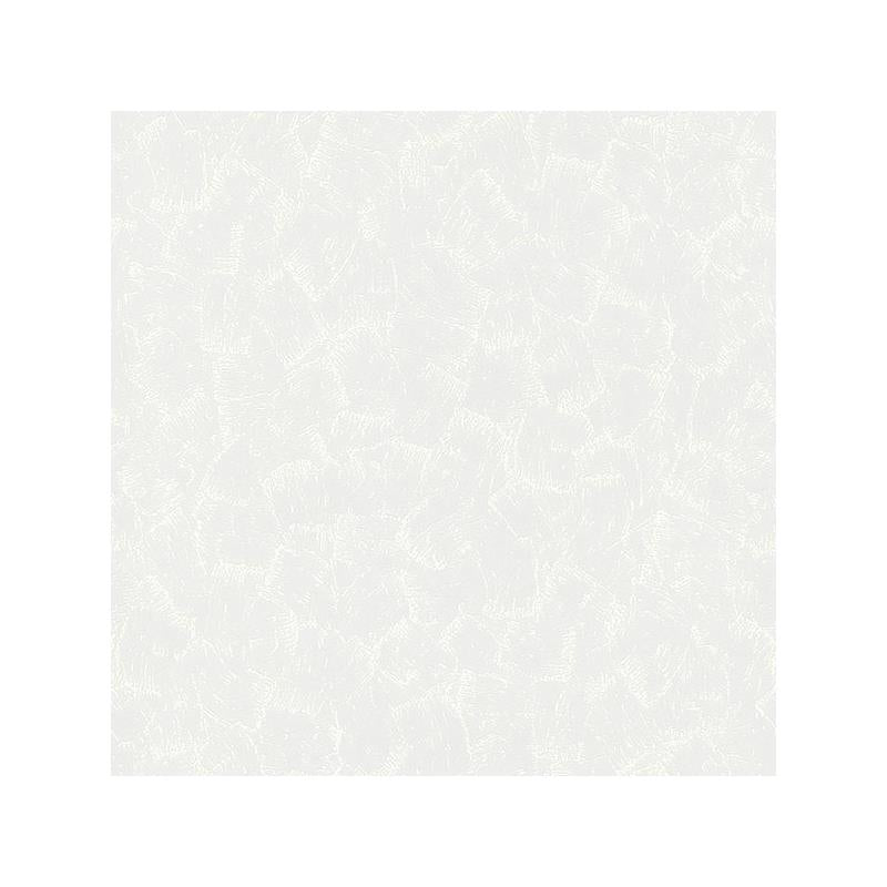 Sample 4000-2516-19 PaintWorks, Gustave White Plaster Paintable by Brewster Wallpaper