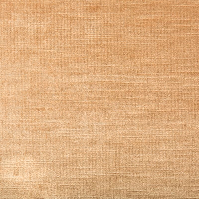 Shop 31326.161.0 Venetian Beige Solid by Kravet Fabric Fabric