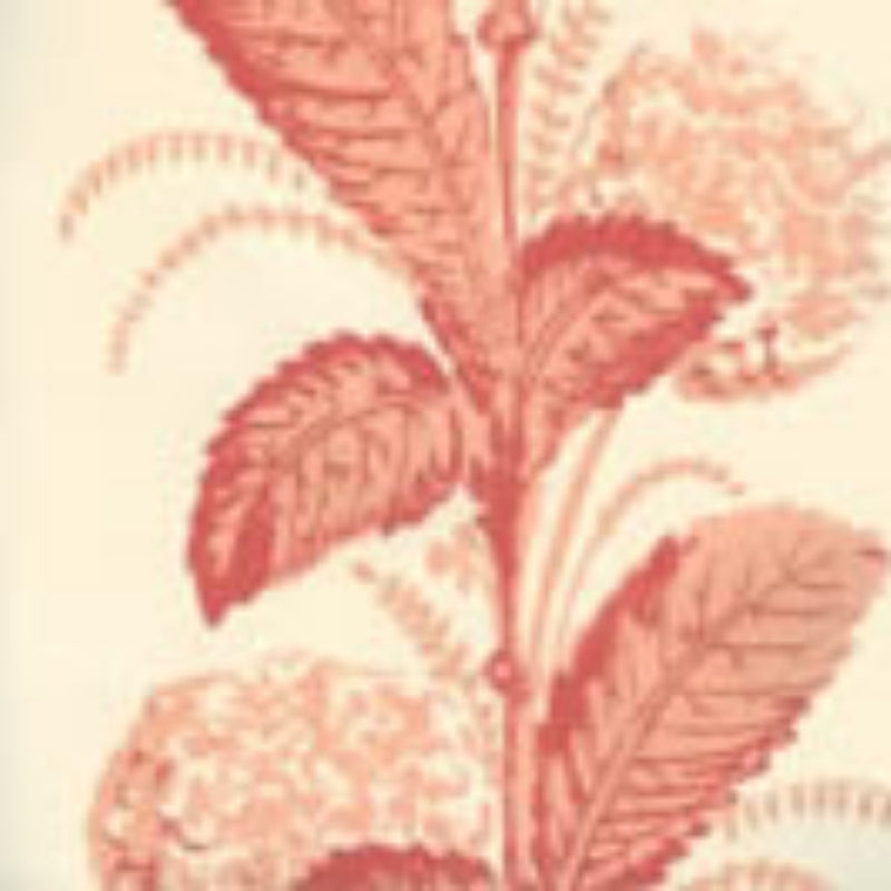 Sample 303304WP Climbing Hydrangea, Peach On Almost White by Quadrille Wallpaper