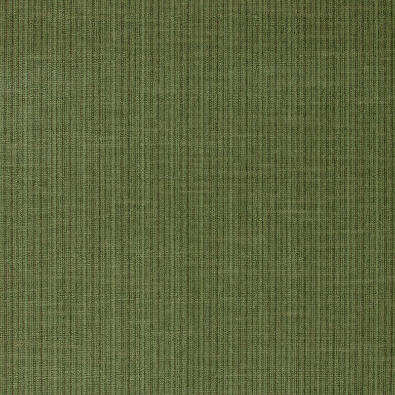 Purchase sample of 43282 Antique Strie Velvet, Grass by Schumacher Fabric