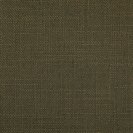 Acquire S4263 Moss Green Solid/Plain Greenhouse Fabric