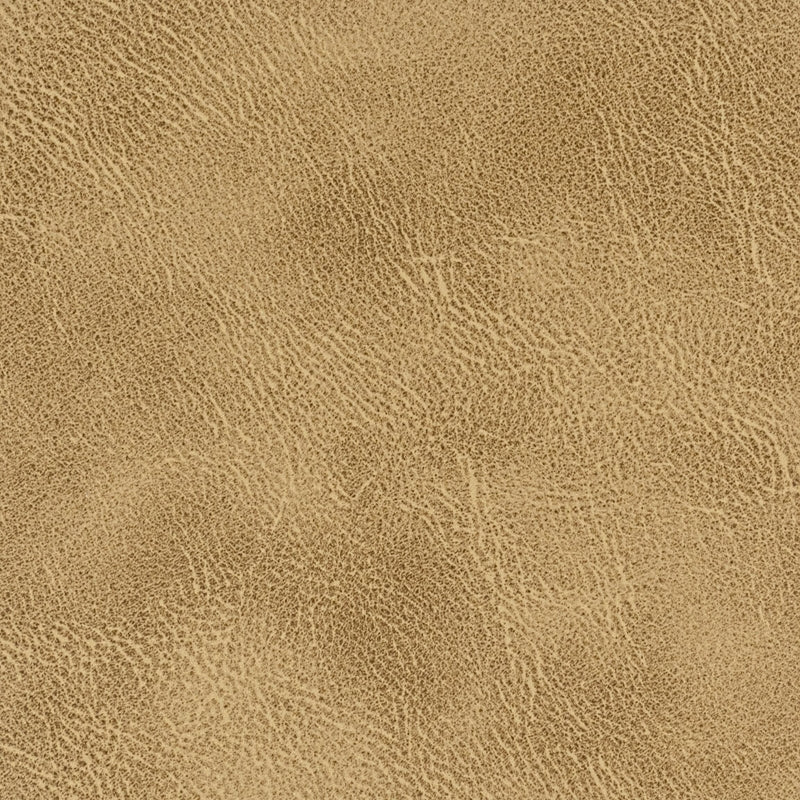 Sample Radn-4 Radnor 4 Acorn By Stout Fabric