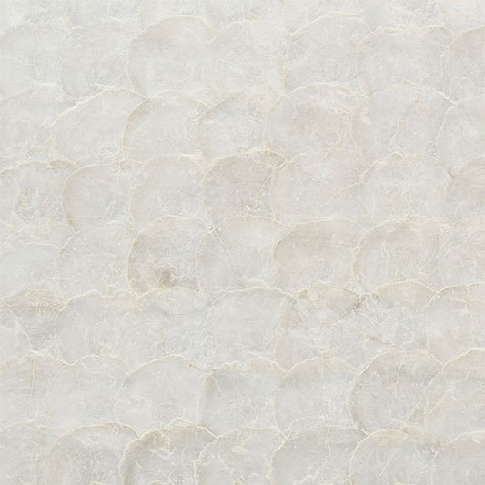 Find 5009650 Abalone Pearl Schumacher Wallpaper