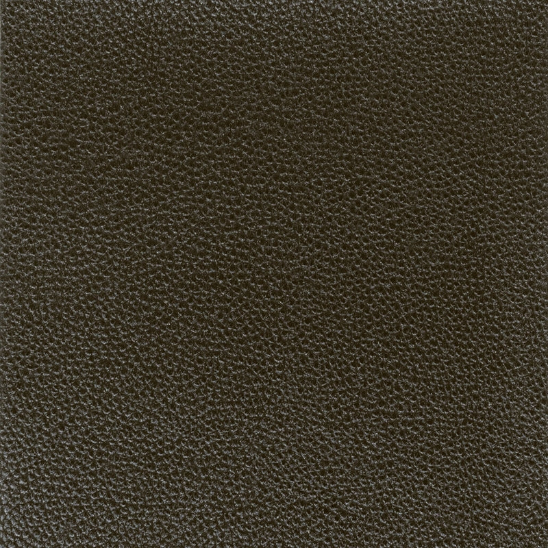 Sample Pitc-3 Pitcher 3 Onyx By Stout Fabric