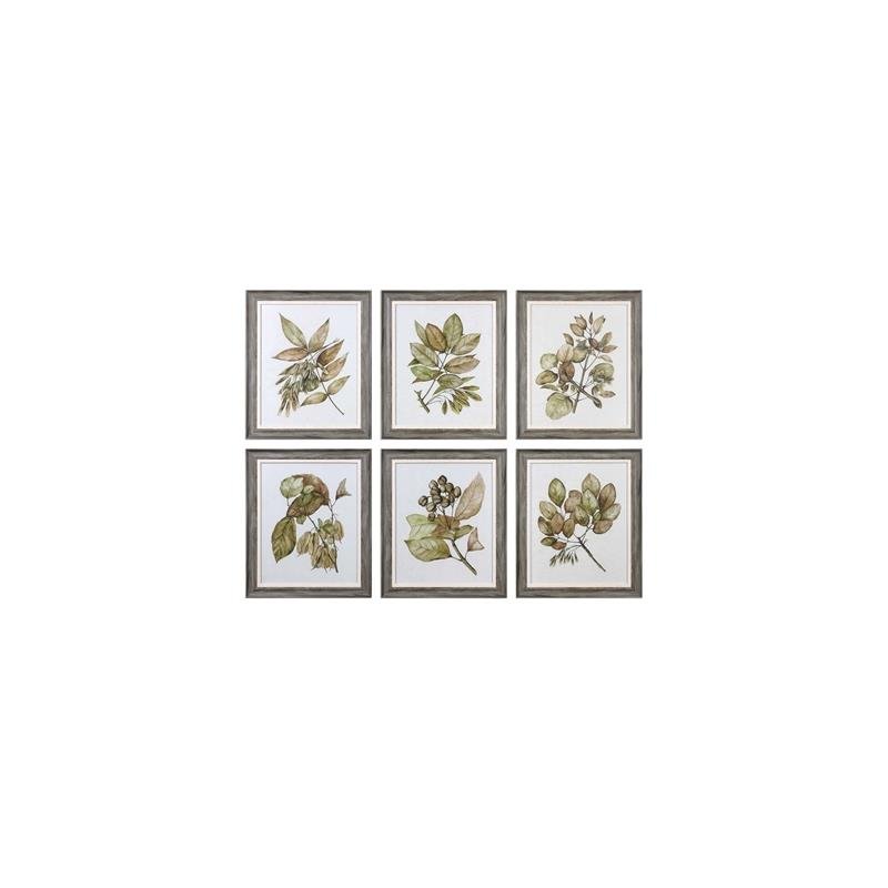 33651 Green Floral Botanical Study S/6 by Uttermost,,