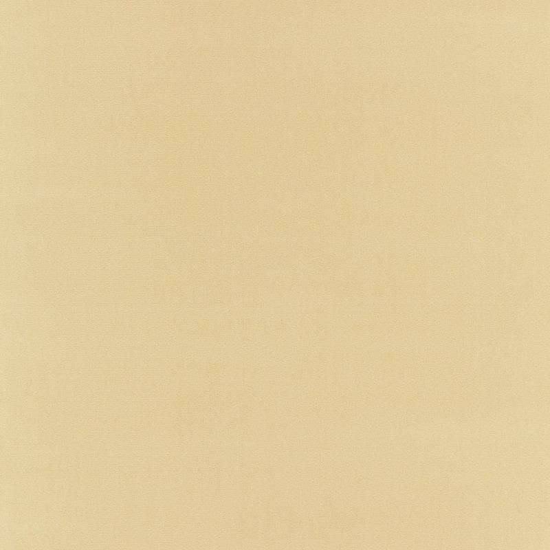 Sample Bk 0003K65122 Richmond Velvet, Chamois By Boris Kroll Fabric