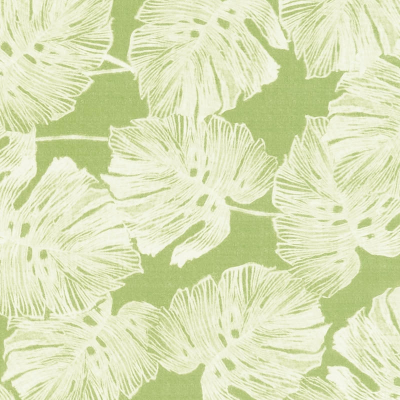 Purchase 178342 Del Coco Leaf by Schumacher Fabric