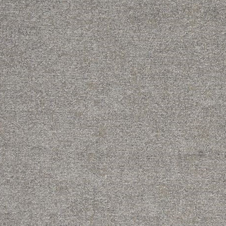 Buy F0795-03 Nesa Dove Solid by Clarke And Clarke Fabric