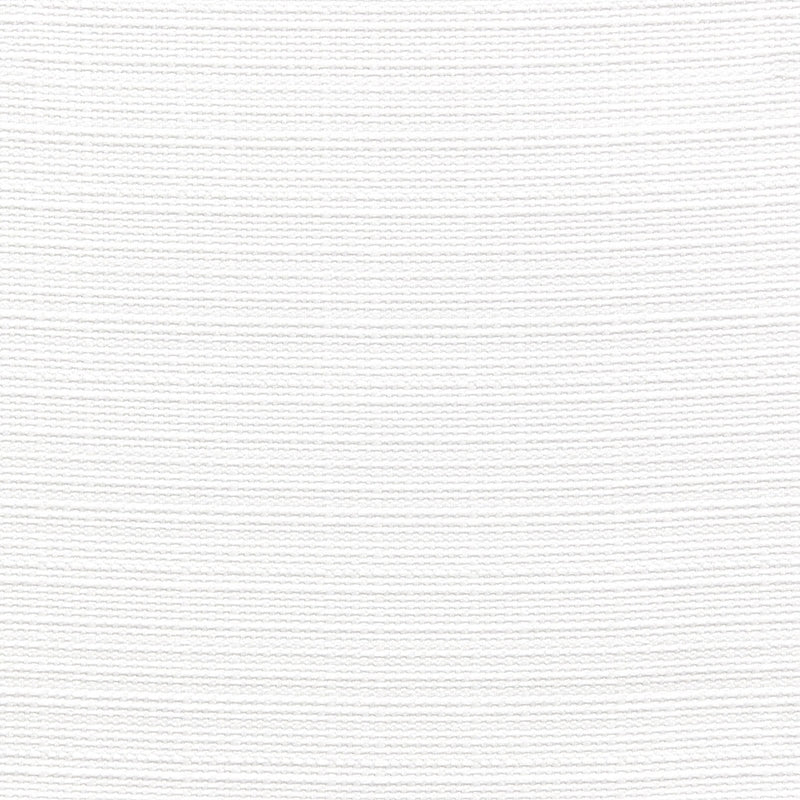 Sample SPYR-2 White by Stout Fabric