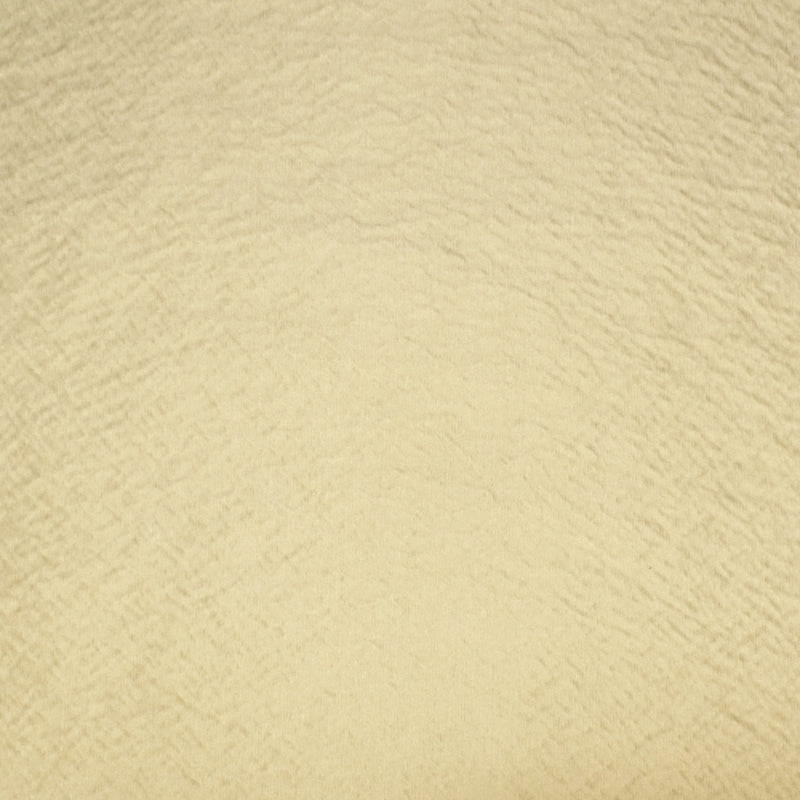 Select S2584 Sand Neutral Texture Greenhouse Fabric