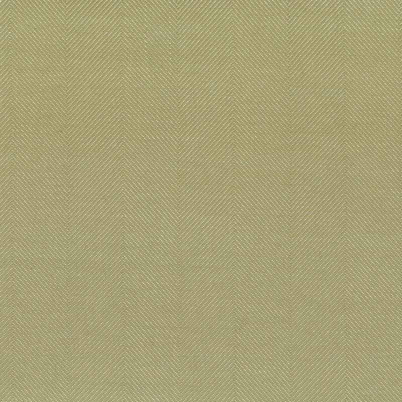 Sample CASS-6 Cassago Aloe by Stout