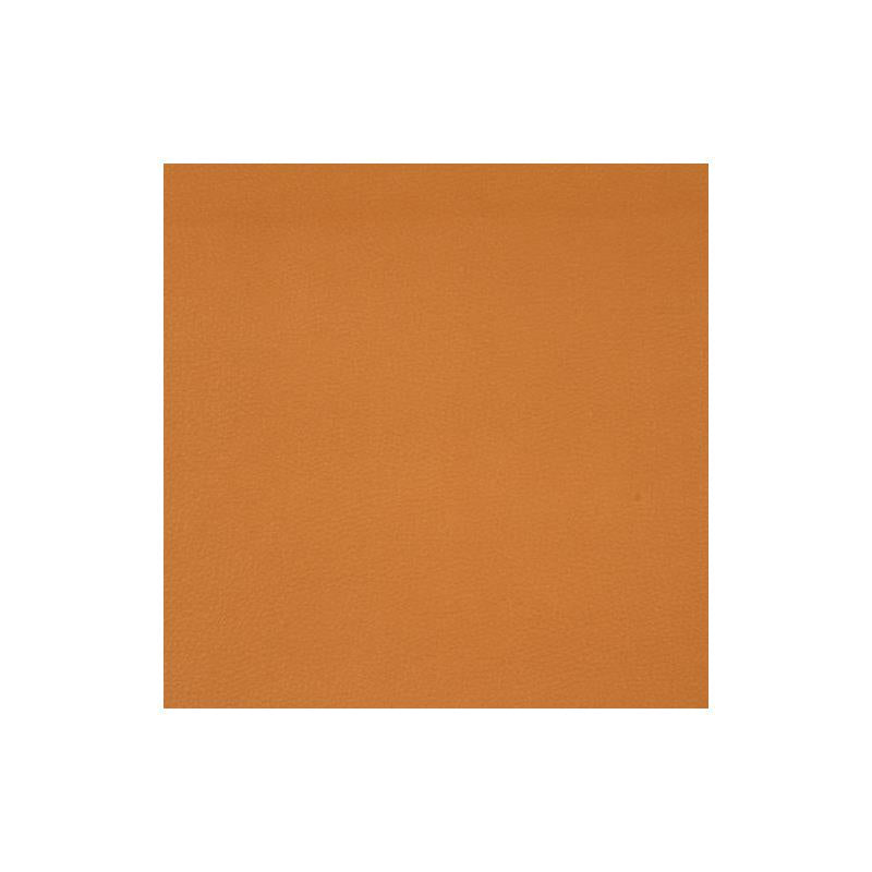 216677 | Splash | Marigold - Robert Allen Contract Fabric